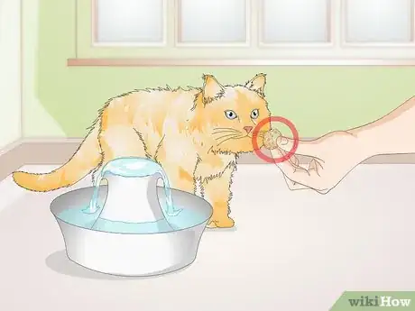 Image titled Train Your Cat to Use a Pet Fountain Step 6