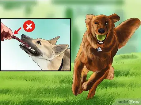 Image titled Encourage Your Senior Dog to Play Step 6