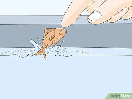 Image titled Enjoy Having Pet Fish Step 9