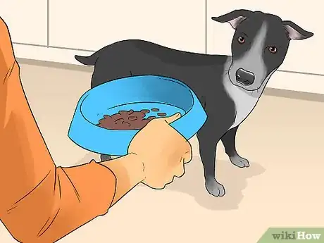 Image titled Make a Routine for Your Dog Step 3