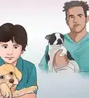 Be a Good Pet Owner (for Kids)