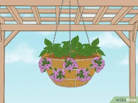 Image titled Make a Moss Hanging Basket Step 1
