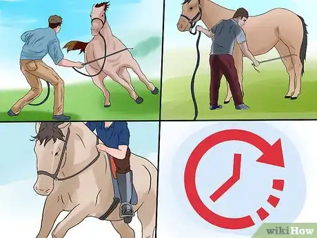 Image titled Train a Horse to Respect You Step 7