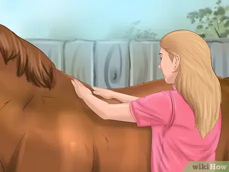 Image titled Get Your Horse to Trust and Respect You Step 1