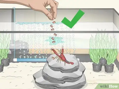 Image titled Take Care of Crayfish Step 6