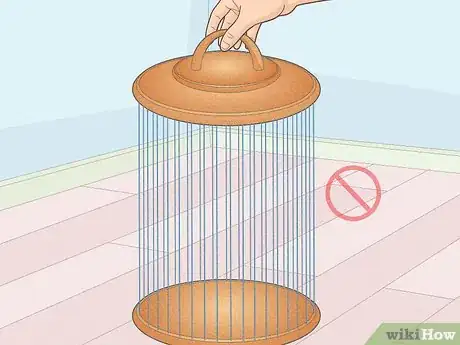 Image titled Choose a Cage for a Budgie Step 3