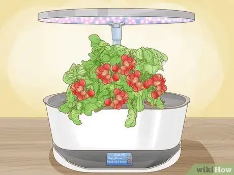 Image titled Aerogarden Tomatoes Step 7