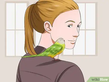 Image titled Tell if Your Pet Budgie Likes You Step 1