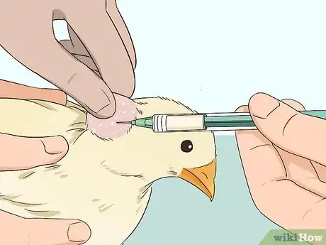 Image titled Vaccinate Chickens Step 8