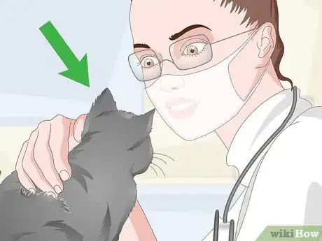 Image titled Eliminate Cat Odors Around the House Step 13