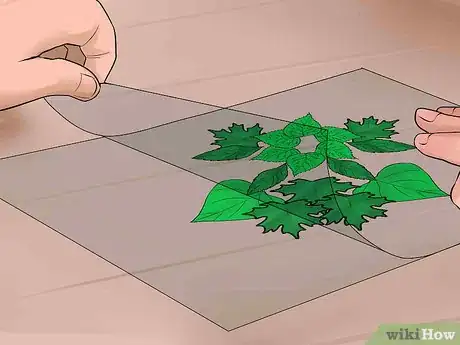 Image titled Make a Leaf Collage Step 13