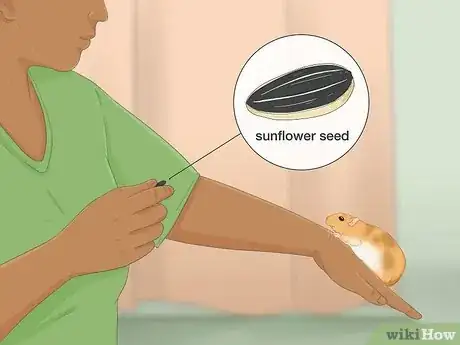 Image titled Train Your Hamster Step 9