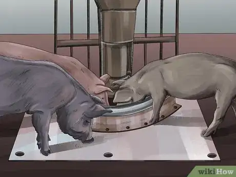 Image titled Feed Pigs Step 10