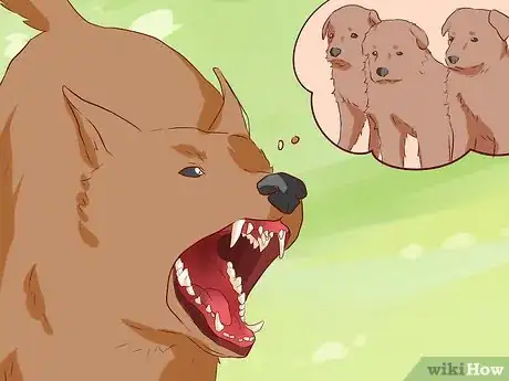 Image titled Discourage a Dog From Biting Step 8