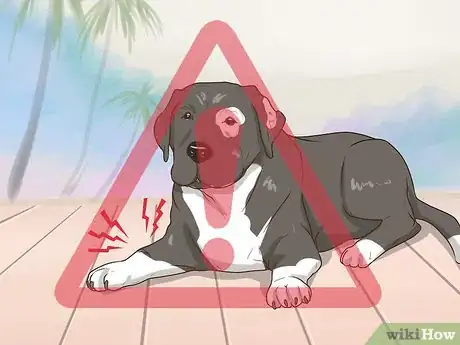 Image titled Keep Dogs in the Same House from Fighting Step 9
