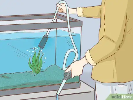 Image titled Add Fish to a New Tank Step 14