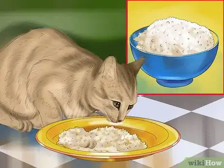 Image titled Choose a Diet for IBD Cats Step 6