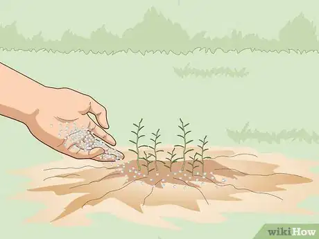 Image titled Fertilize Herbs Step 1