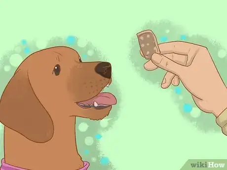 Image titled Stop My Dog from Biting when Excited Step 4