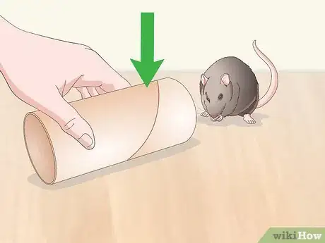 Image titled Pick Up a Pet Mouse Step 6