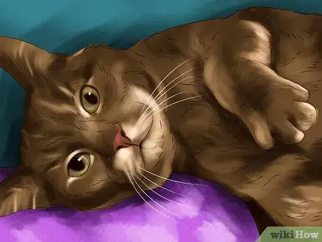 Image titled Handle Essential Oil Poisoning in Cats Step 7