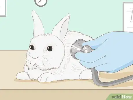 Image titled Care for an Injured Rabbit Step 4