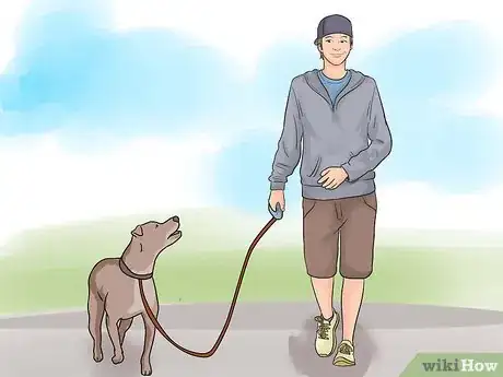 Image titled Walk a Dog Step 3