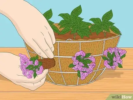 Image titled Make a Moss Hanging Basket Step 4