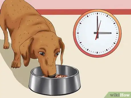 Image titled Get Your Dog to Eat Dry Food Step 10
