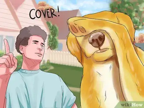 Image titled Teach Your Dog to Play Shy Step 1