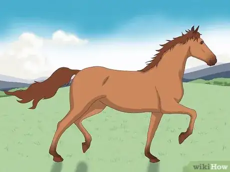 Image titled Choose the Right Breed of Horse for You Step 11