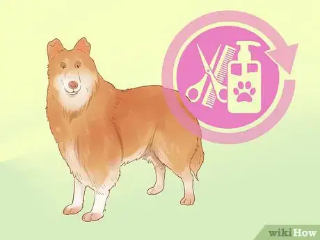 Image titled Choose a Dog Step 10
