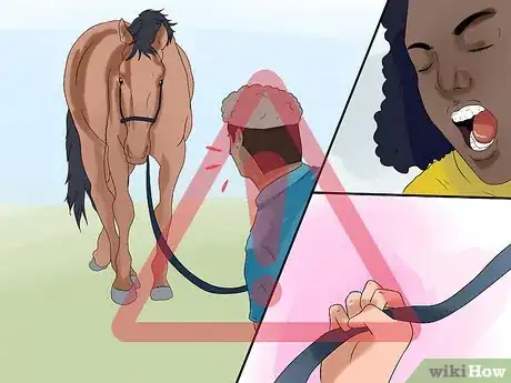 Image titled Train a Horse to Respect You Step 5