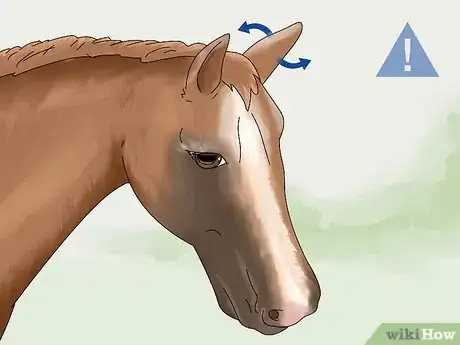 Image titled Tell if a Horse Is Frightened Step 1