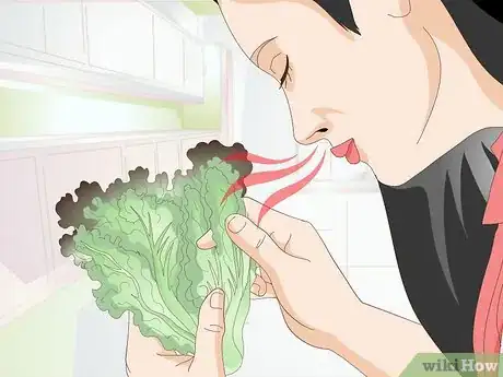 Image titled Feed Greens to Your Rabbit Step 1