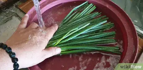 Image titled Store Garlic Scapes Step 5