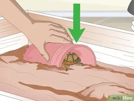 Image titled Create an Indoor Box Turtle Habitat Step 14