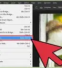 Rotate an Image in Photoshop