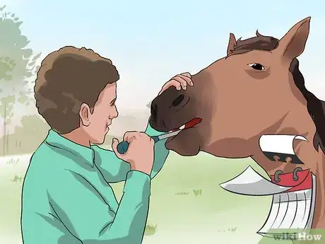 Image titled Recognize and Treat Colic in Horses Step 19