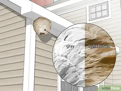 Image titled Get Rid of Wasp Nests in Your Roof Step 1