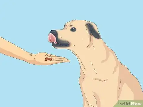 Image titled Deal with Excessive Licking in Older Dogs Step 9