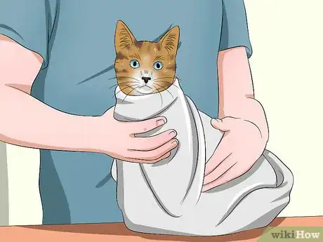 Image titled Give a Cat Medicine Step 10