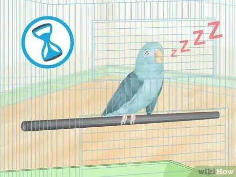 Image titled Spot Signs of Illness in Parrotlets Step 6