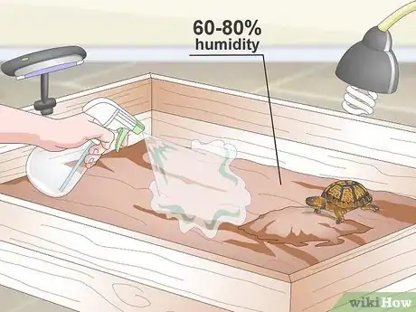 Image titled Create an Indoor Box Turtle Habitat Step 13