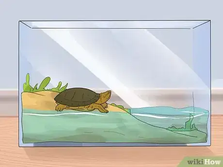 Image titled Take Care of a Land Turtle Step 9