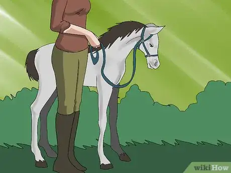 Image titled Teach a Foal to Lead Step 6
