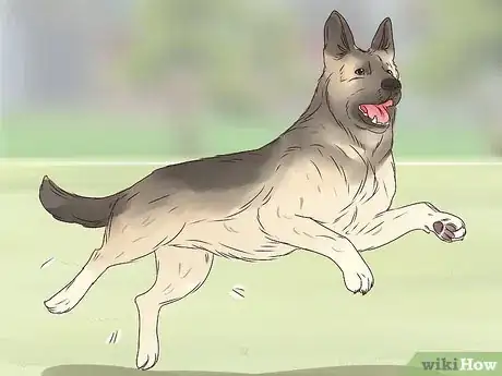 Image titled Stop Dogs Licking You Step 8