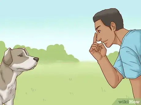 Image titled Get Your Dog's Attention Step 9