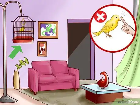 Image titled Keep a Canary Entertained Step 2