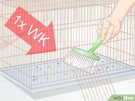 Image titled Keep Flies out of an Indoor Pet Cage Step 1